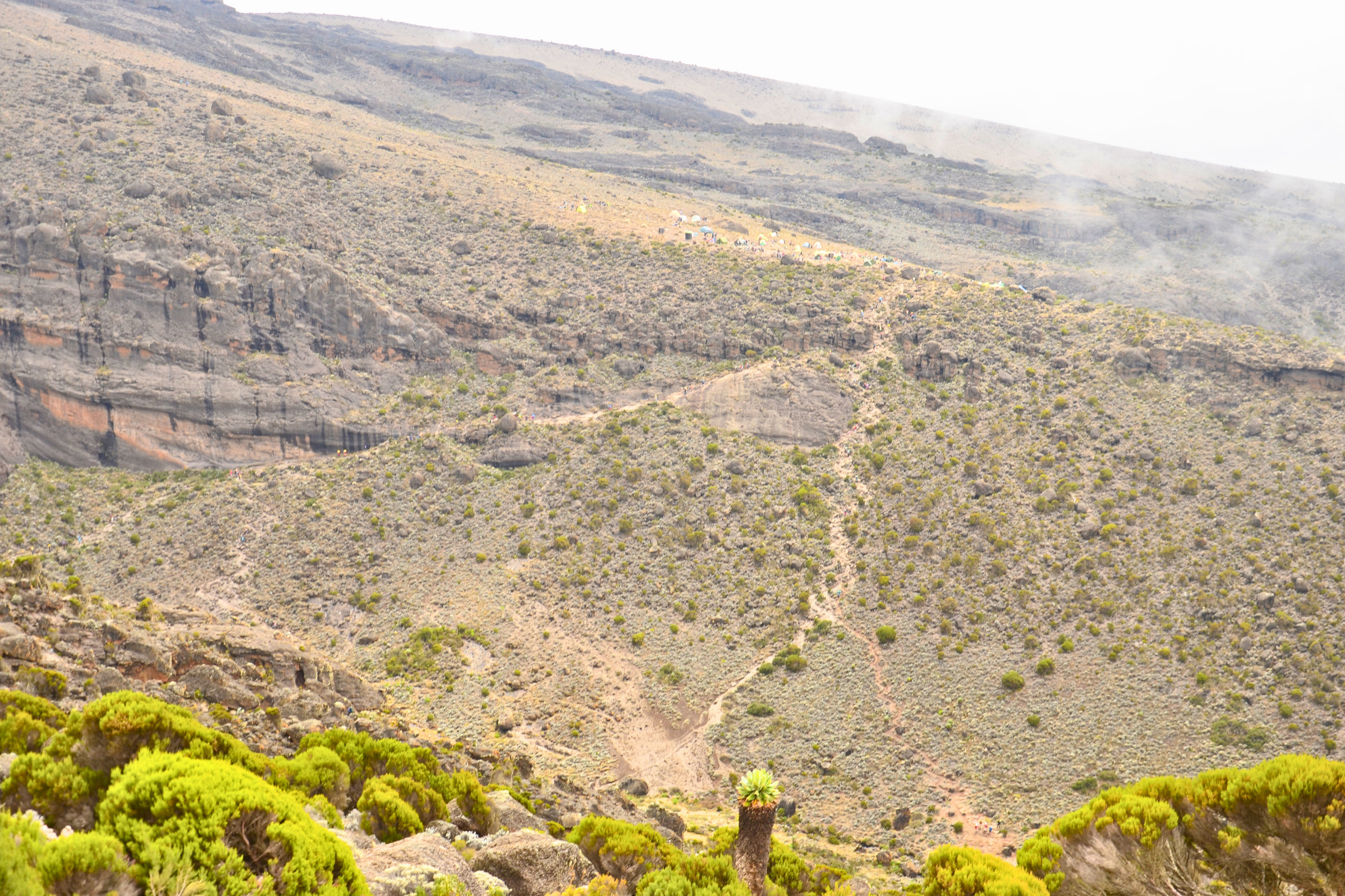 karanga camp kilimanjaro (3).webp